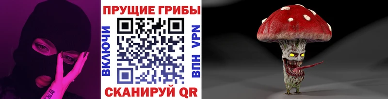 магазин продажи   Боготол  Псилоцибиновые грибы GOLDEN TEACHER 